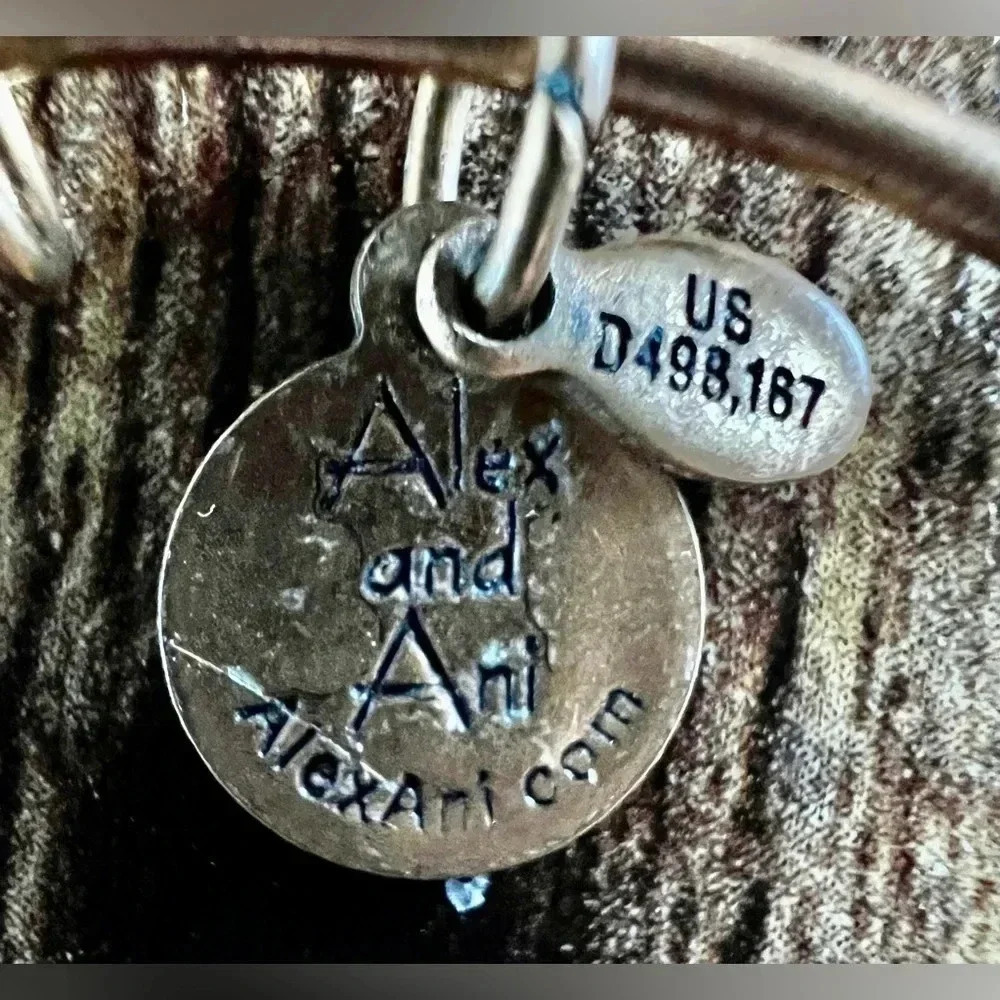 RETIRED: Alex and Ani | Class of 2013 charm bracelet - Picture 7 of 14